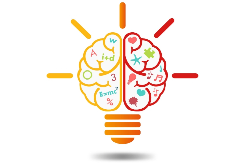 4 Elements of Learning Design, from Neuroscience | The Learning Factor